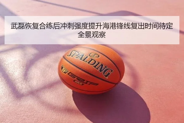 武磊恢复合练后冲刺强度提升海港锋线复出时间待定全景观察