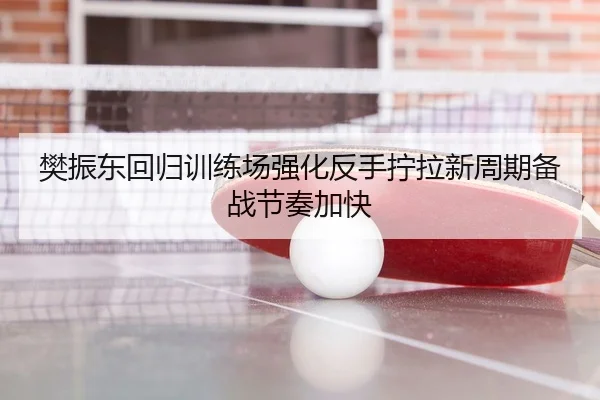 樊振东回归训练场强化反手拧拉新周期备战节奏加快